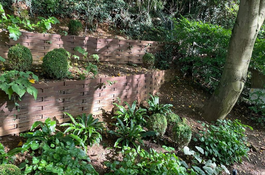Everything You Need To Know About Tiered Gardens