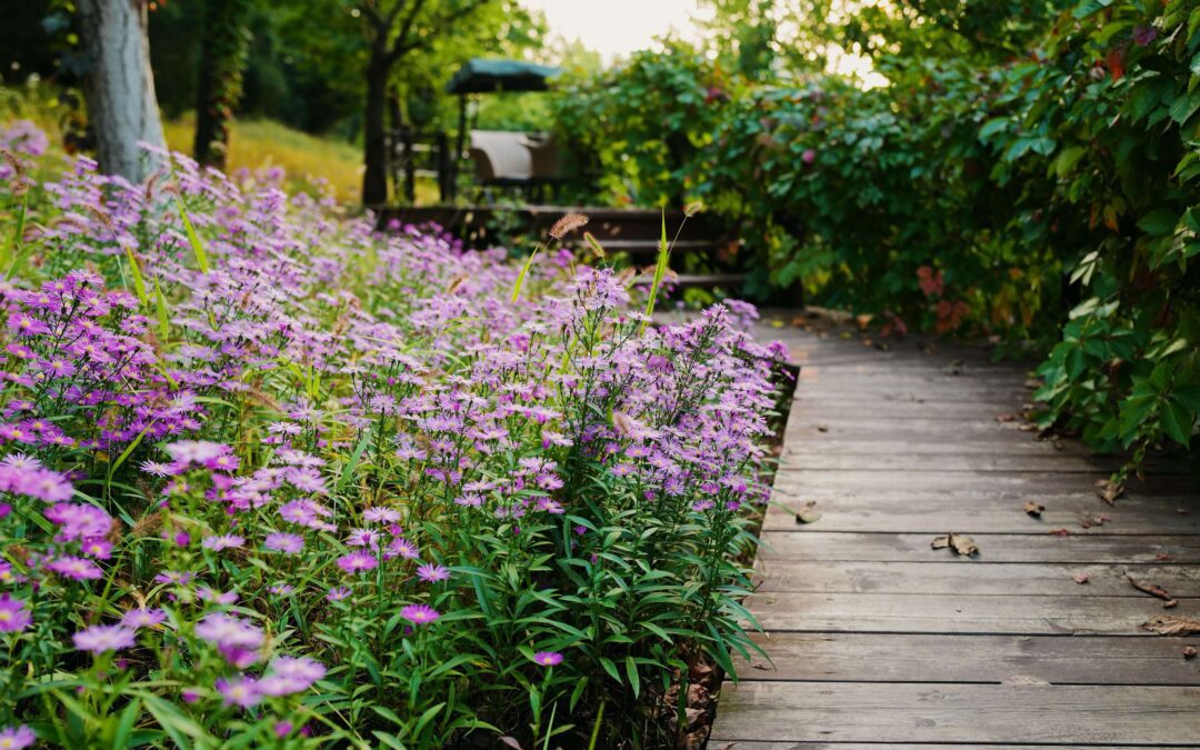 How to make a small garden look bigger