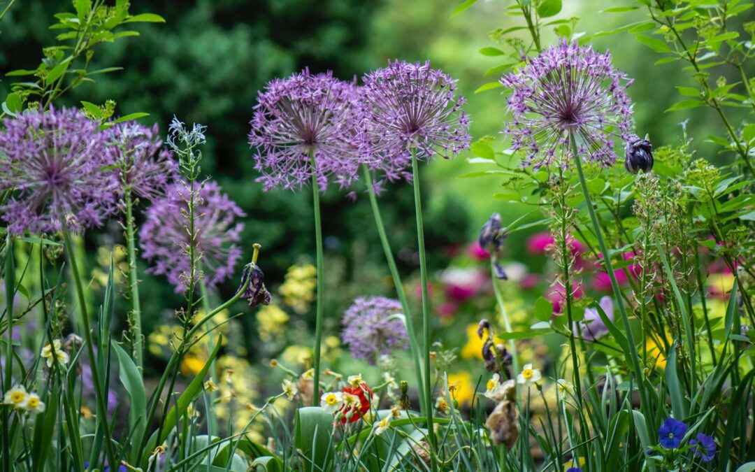 The best secret gardens to visit in the UK