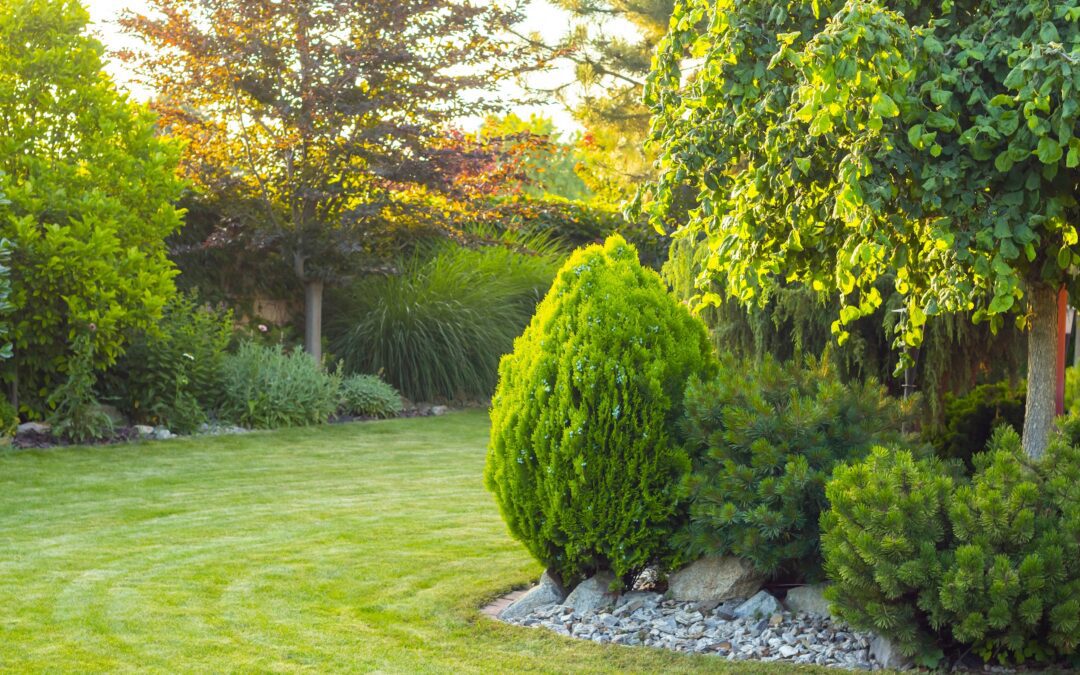 Transform your garden with these top three 2024 trends