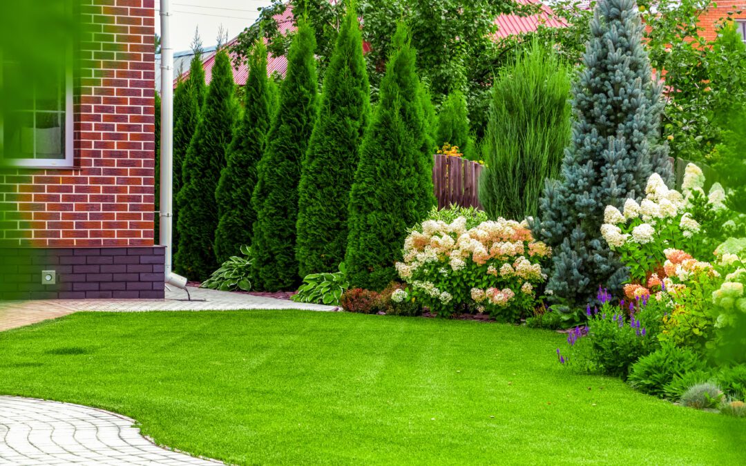 Garden trends to look out for in 2025