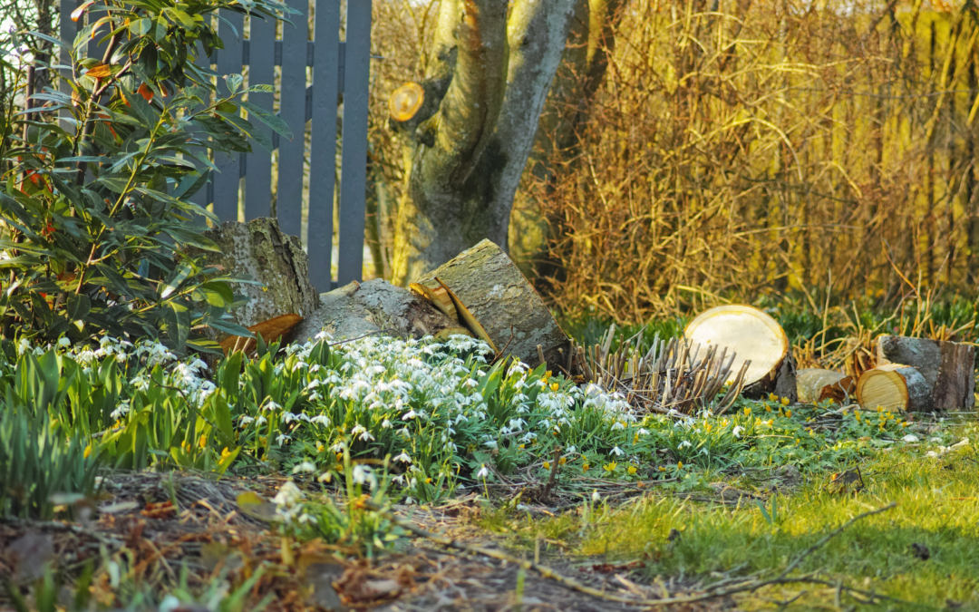 Help your garden flourish – Gardening for wildlife